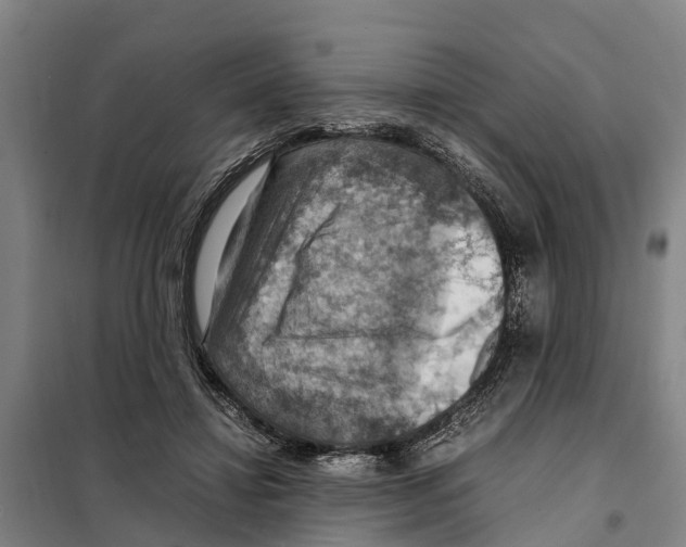 X0000098000452200804211136