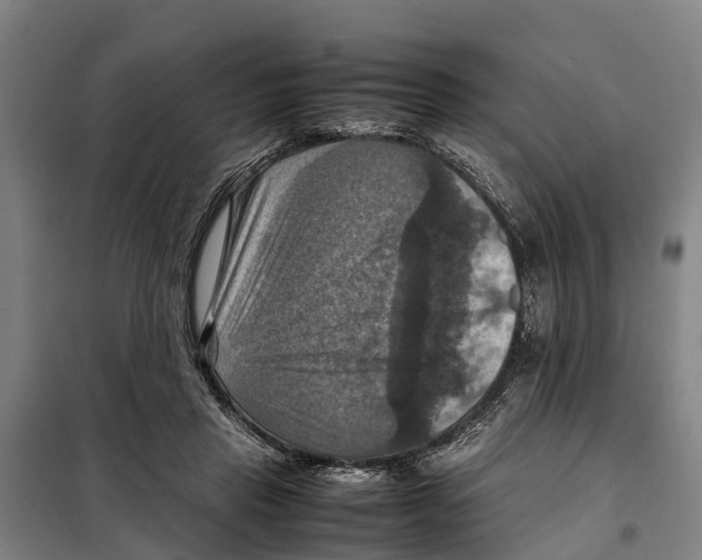 X0000098000453200804211136