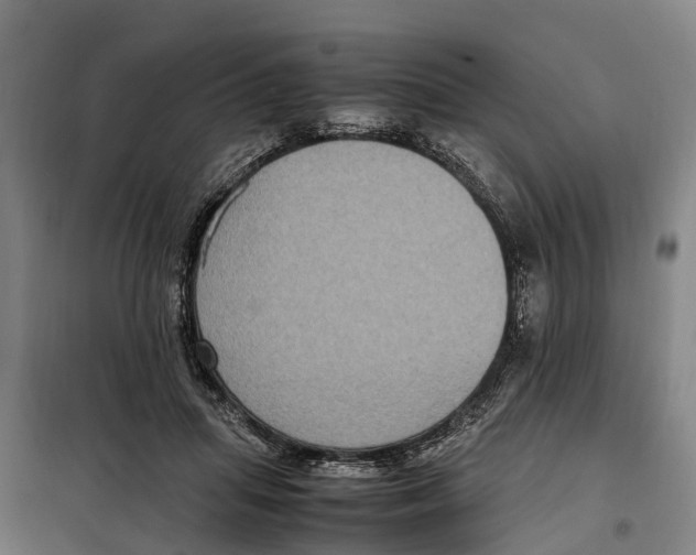 X0000098000455200804211136