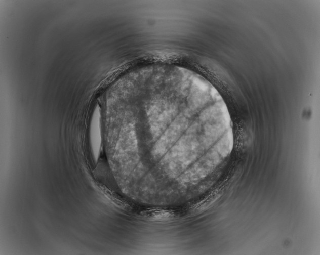 X0000098000456200804211136