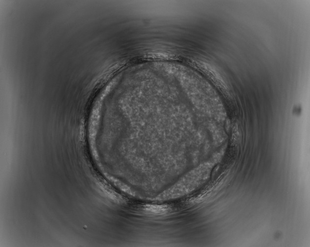 X0000098000457200804211136