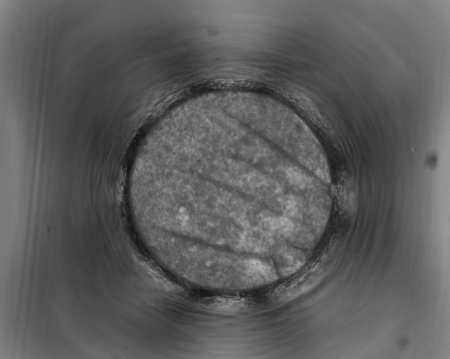 X0000098000458200804211136