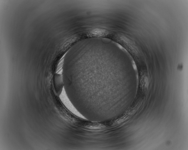 X0000098000459200804211136