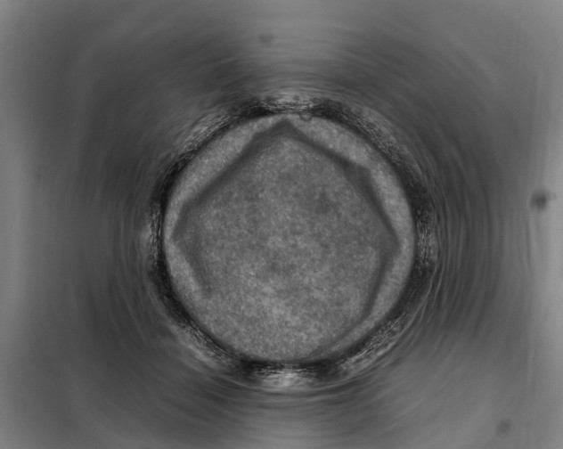 X0000098000460200804211136
