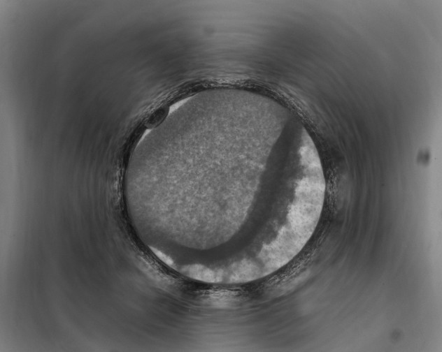 X0000098000462200804211136