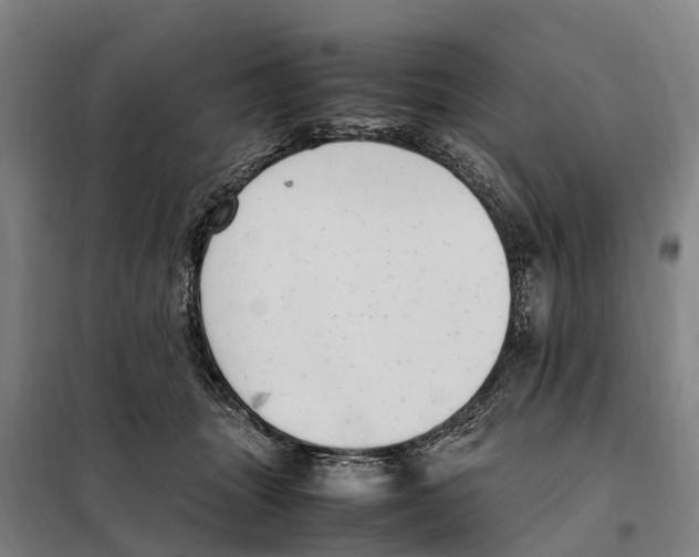 X0000098000463200804211136