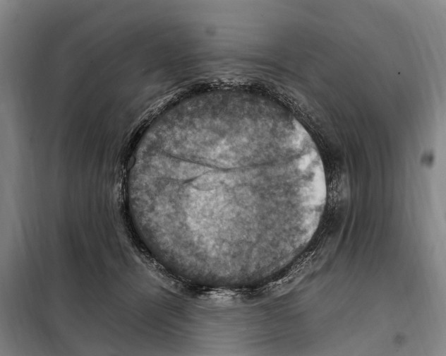 X0000098000464200804211136