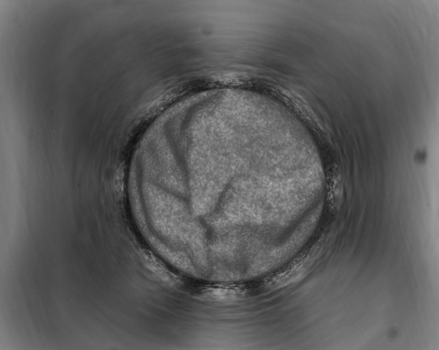 X0000098000466200804211136