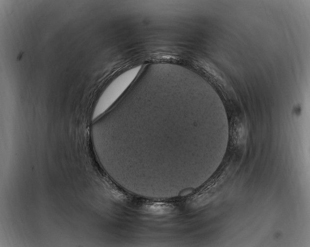 X0000098000467200804211136