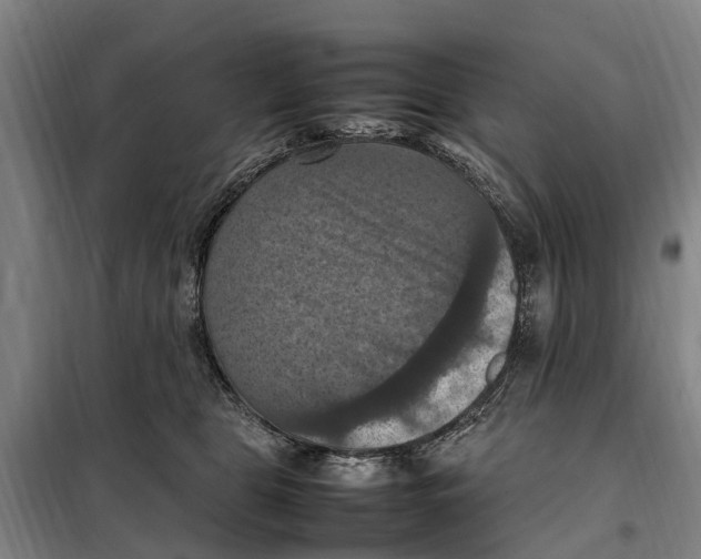 X0000098000469200804211136