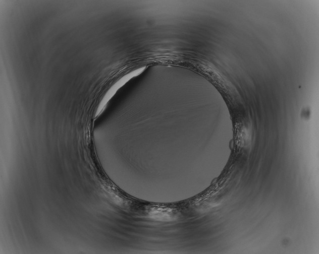X0000098000471200804211136