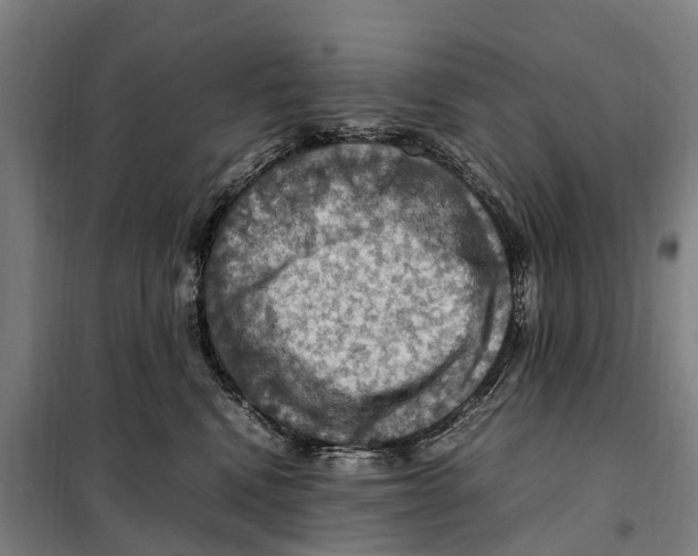 X0000098000472200804211136