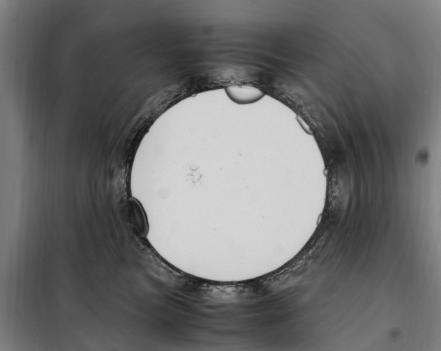 X0000098000473200804211136