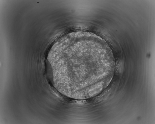 X0000098000474200804211136