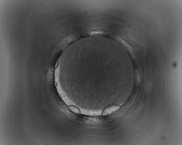 X0000098000475200804211136