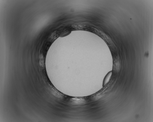 X0000098000477200804211136