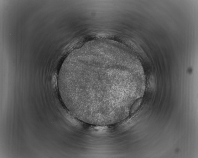 X0000098000478200804211136
