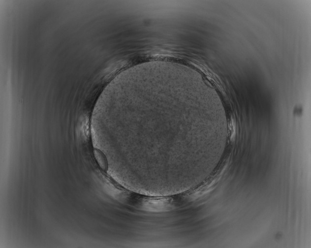 X0000098000479200804211136