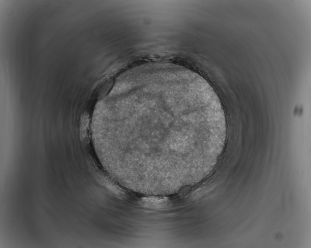 X0000098000480200804211136