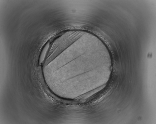 X0000098000481200804211135