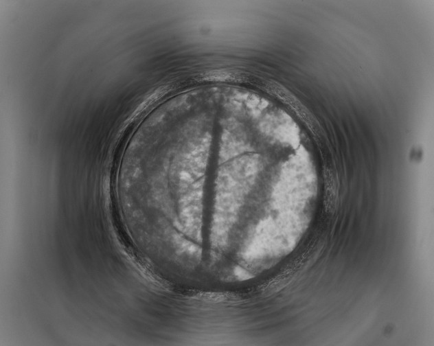 X0000098000482200804211135