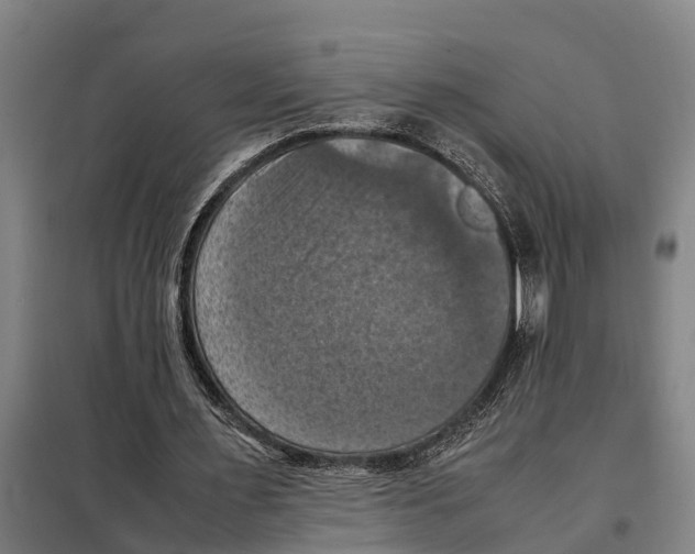 X0000098000483200804211135