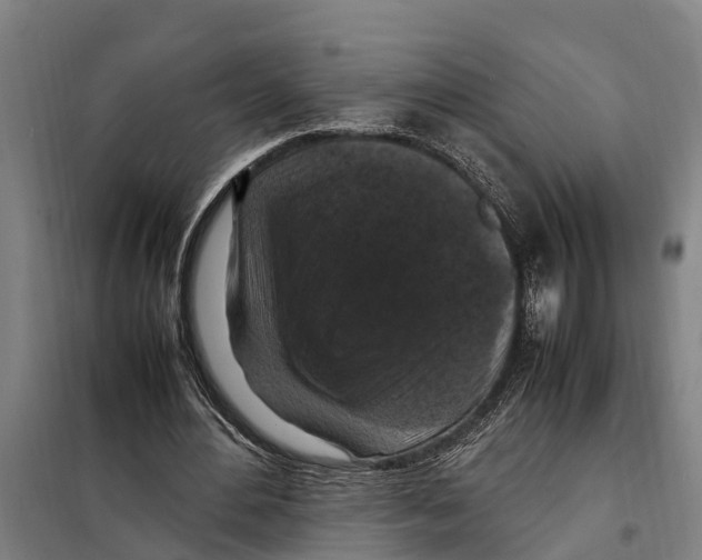 X0000098000484200804211135