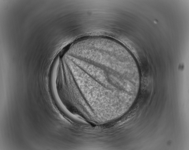 X0000098000485200804211135