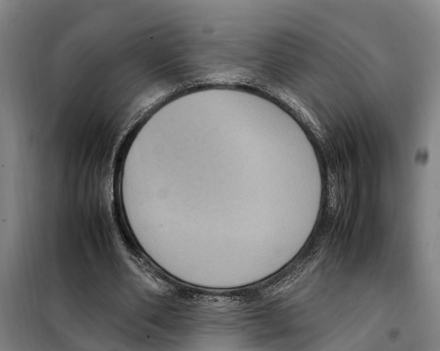 X0000098000486200804211135