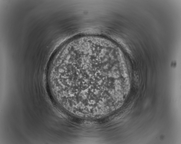 X0000098000487200804211135