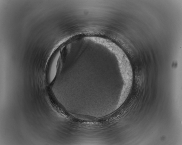 X0000098000488200804211135