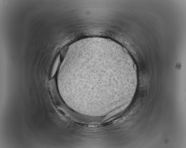 X0000098000489200804211135
