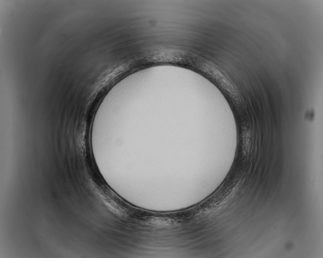 X0000098000490200804211135