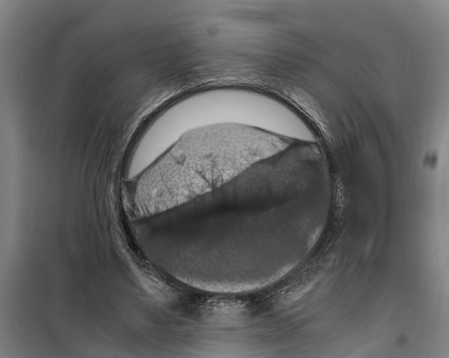 X0000098000491200804211135