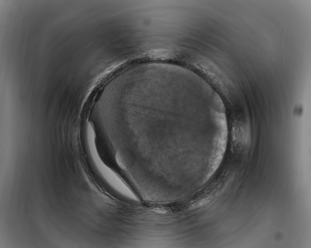 X0000098000492200804211135
