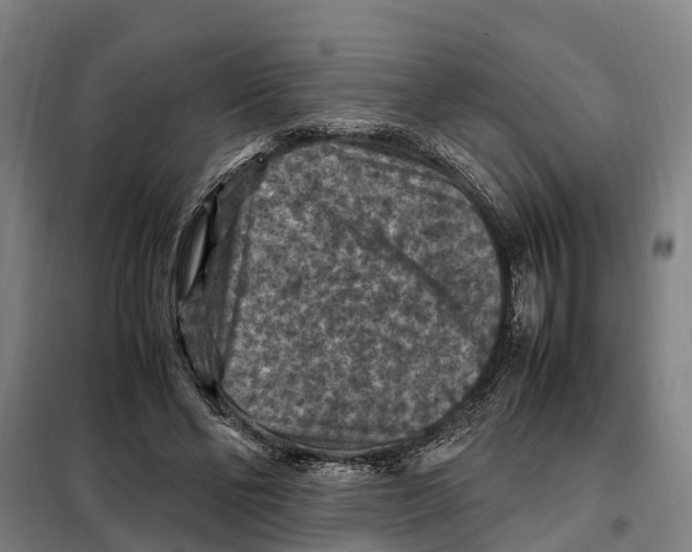 X0000098000494200804211135