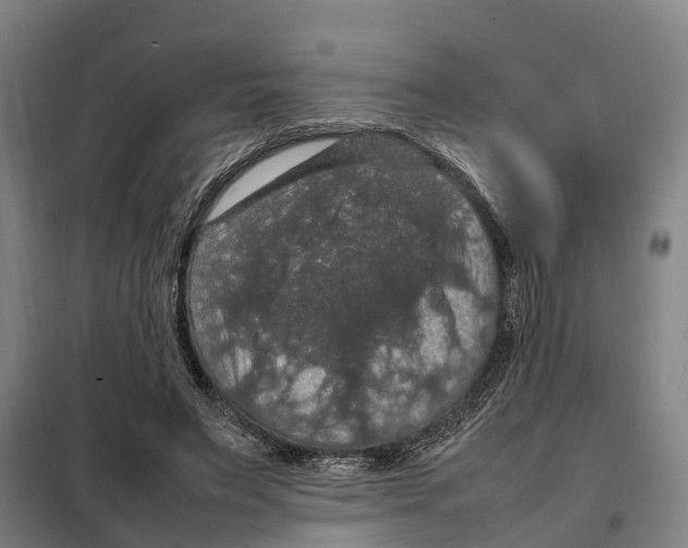 X0000098000495200804211135