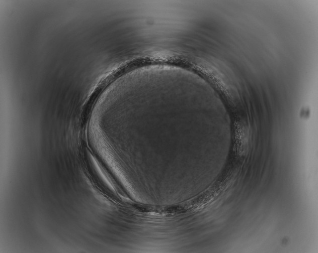 X0000098000496200804211135