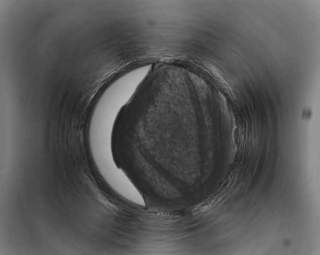 X0000098000500200804211135