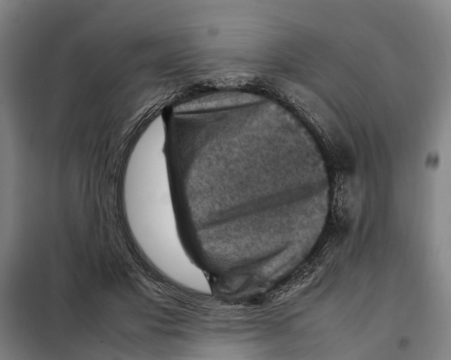 X0000098000501200804211135
