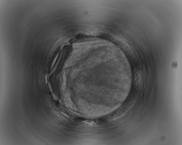 X0000098000502200804211135