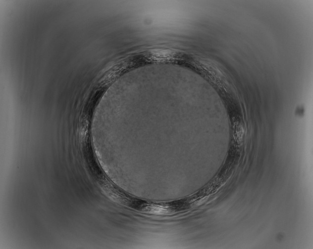 X0000098000507200804211135