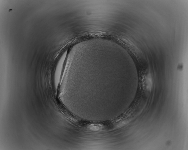 X0000098000508200804211135