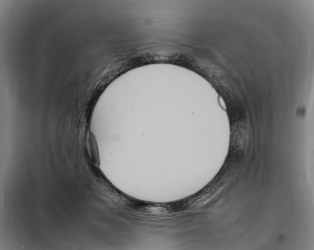 X0000098000509200804211135