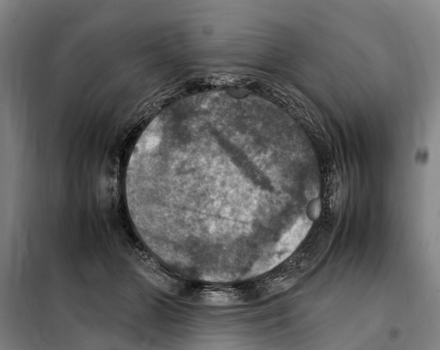 X0000098000510200804211135