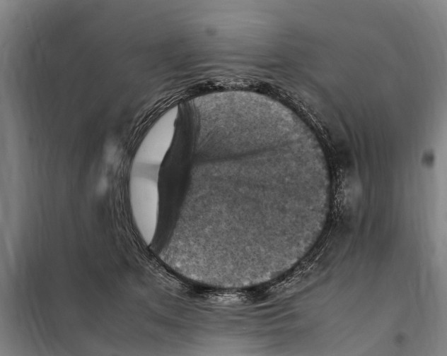 X0000098000513200804211135