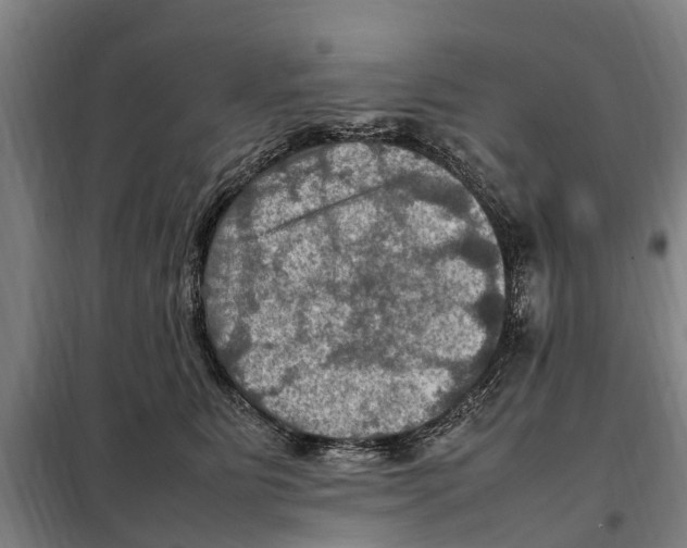 X0000098000515200804211135