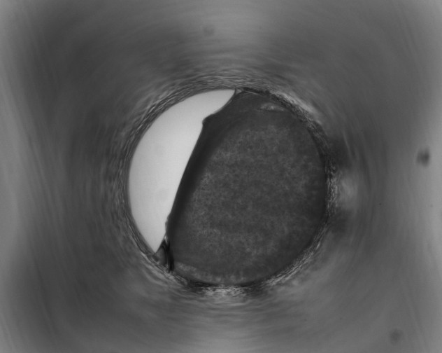 X0000098000517200804211135