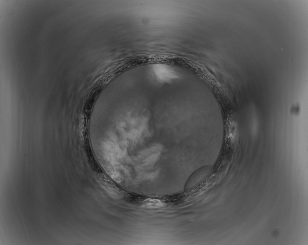 X0000098000519200804211135