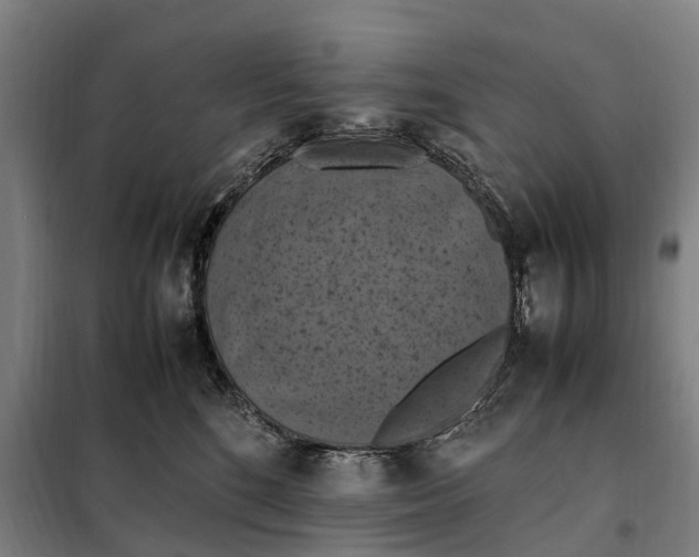 X0000098000520200804211135
